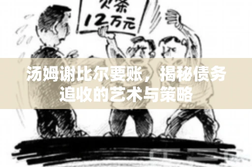 汤姆谢比尔要账，揭秘债务追收的艺术与策略