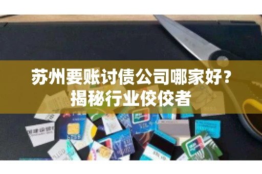 苏州要账讨债公司哪家好？揭秘行业佼佼者