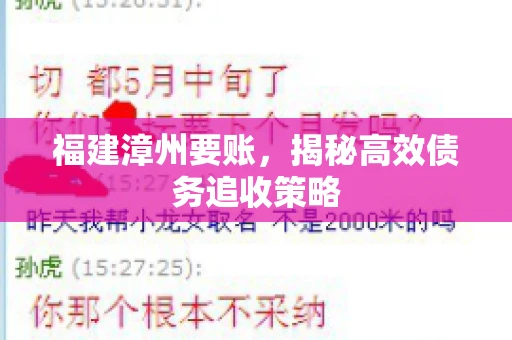 福建漳州要账，揭秘高效债务追收策略