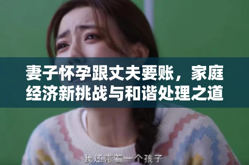 妻子怀孕跟丈夫要账，家庭经济新挑战与和谐处理之道