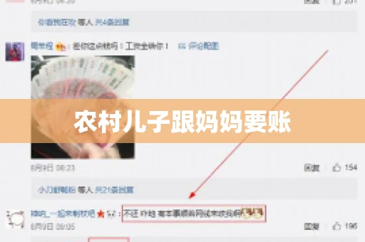 农村儿子跟妈妈要账