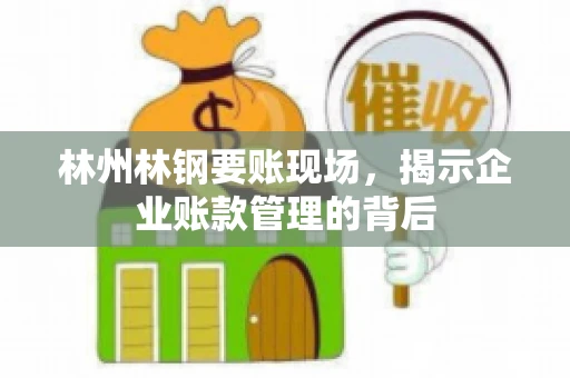 林州林钢要账现场，揭示企业账款管理的背后
