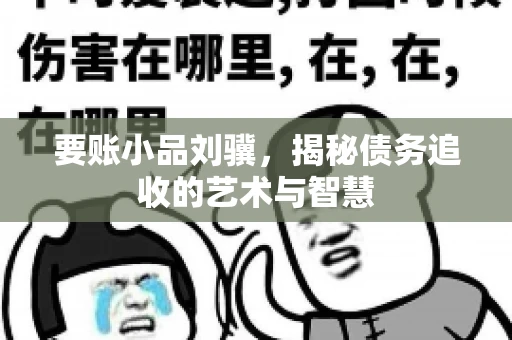 要账小品刘骥，揭秘债务追收的艺术与智慧