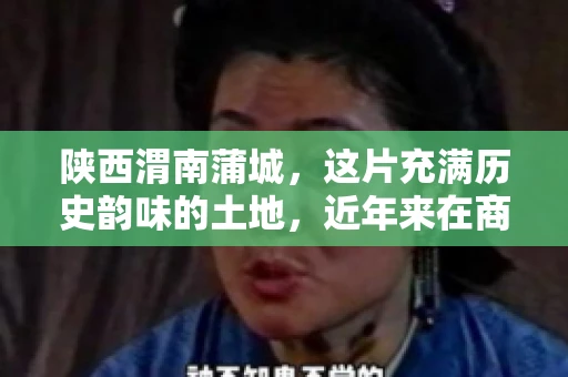 陕西渭南蒲城，这片充满历史韵味的土地，近年来在商业活动中也展现出了其独特的活力。其中，关于“陕西渭南蒲城要账”的话题，成为了不少企业关注的焦点。今天，我们就来聊聊这个话题，看看在蒲城，要账的那些事儿。