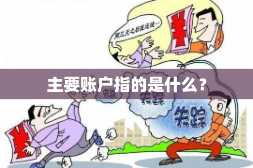主要账户指的是什么？