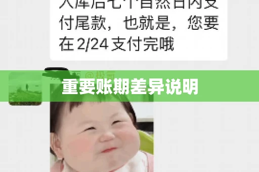 重要账期差异说明