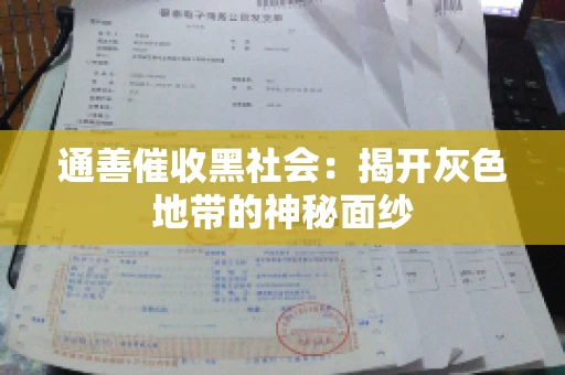 通善催收黑社会：揭开灰色地带的神秘面纱