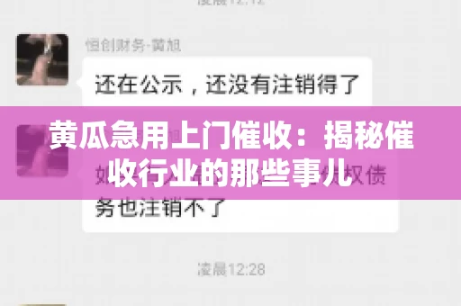 黄瓜急用上门催收：揭秘催收行业的那些事儿