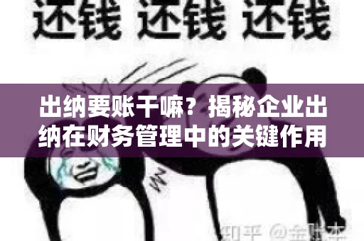 出纳要账干嘛？揭秘企业出纳在财务管理中的关键作用
